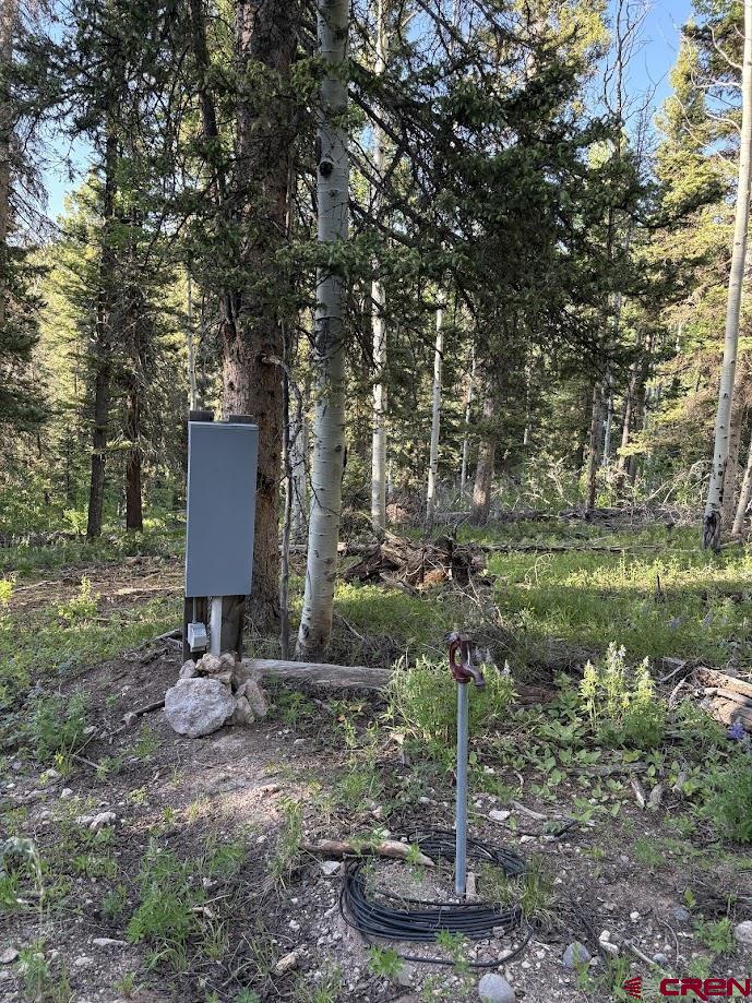 449 Ute Road Cimarron, CO 81220 - Photo 9 of 9 a backyard of a house with lots of green space