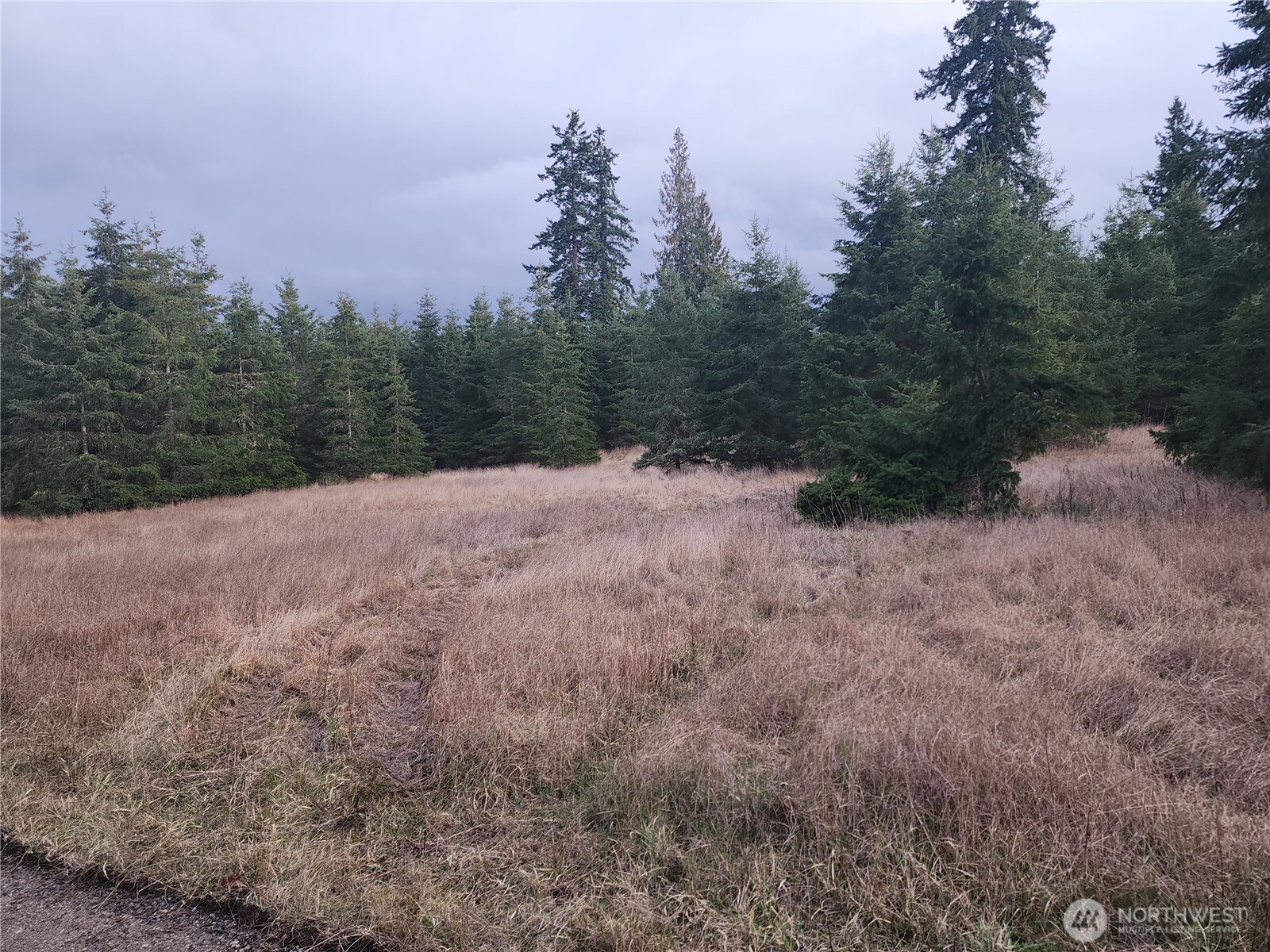 0 Lilly Rd Port Port Angeles, WA 98362 - Photo 3 of 11 Gallery Image 3