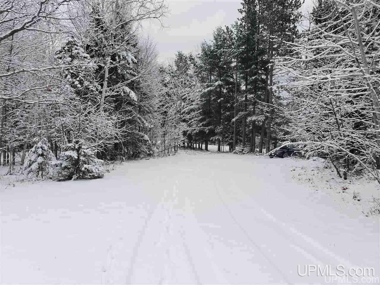 27470 Baulman Road Hancock, MI 49930 - Photo 5 of 12 Gallery Image 5