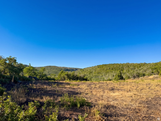 1 Bridge Hollow Road Kamas, UT 84036 - Photo 7 of 24 Gallery Image 7