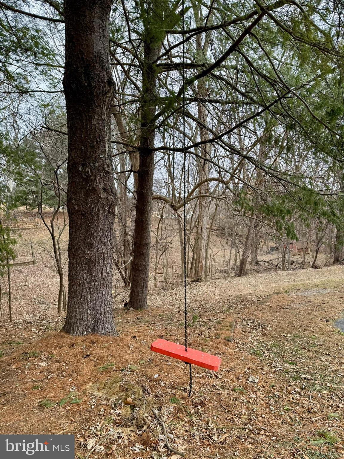 9813 Moyer Road Damascus, MD 20872 - Photo 31 of 31 a backyard of a house with lots of green space