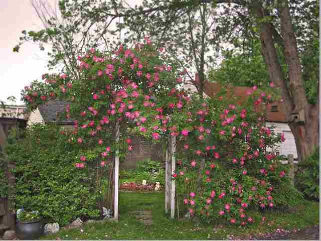 133 Troy Schenectady Road Colonie, NY 12189 - Photo 7 of 8 Photo 7