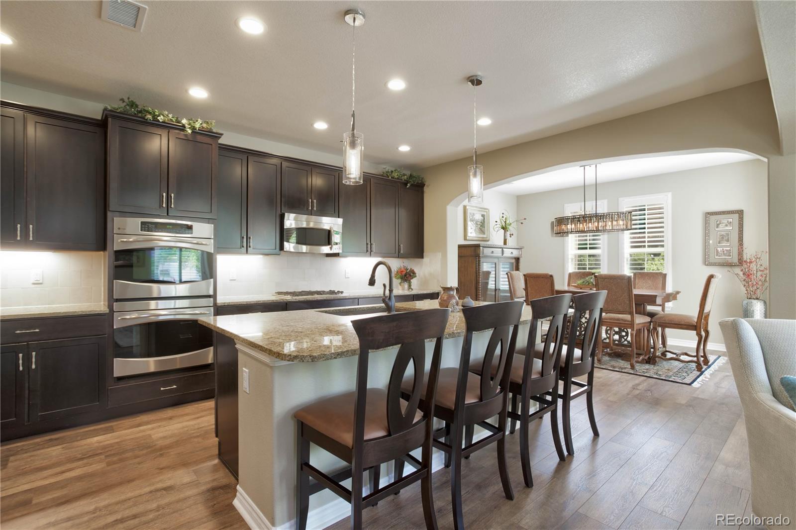 9208 Viaggio Way Highlands Ranch, CO 80126 - Photo 10 of 31 Gallery Image 10