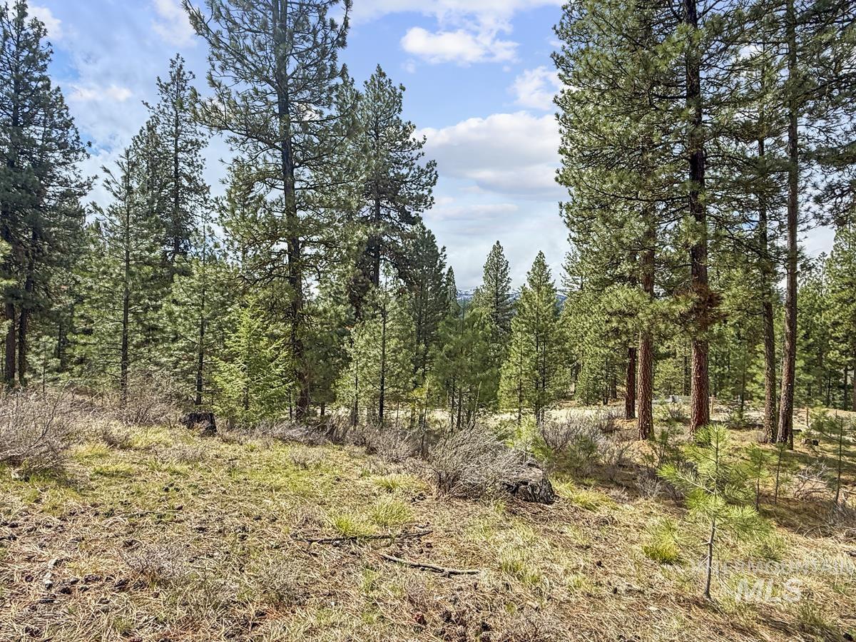 14 San Ignacio Way Cascade, ID 83611 - Photo 13 of 20