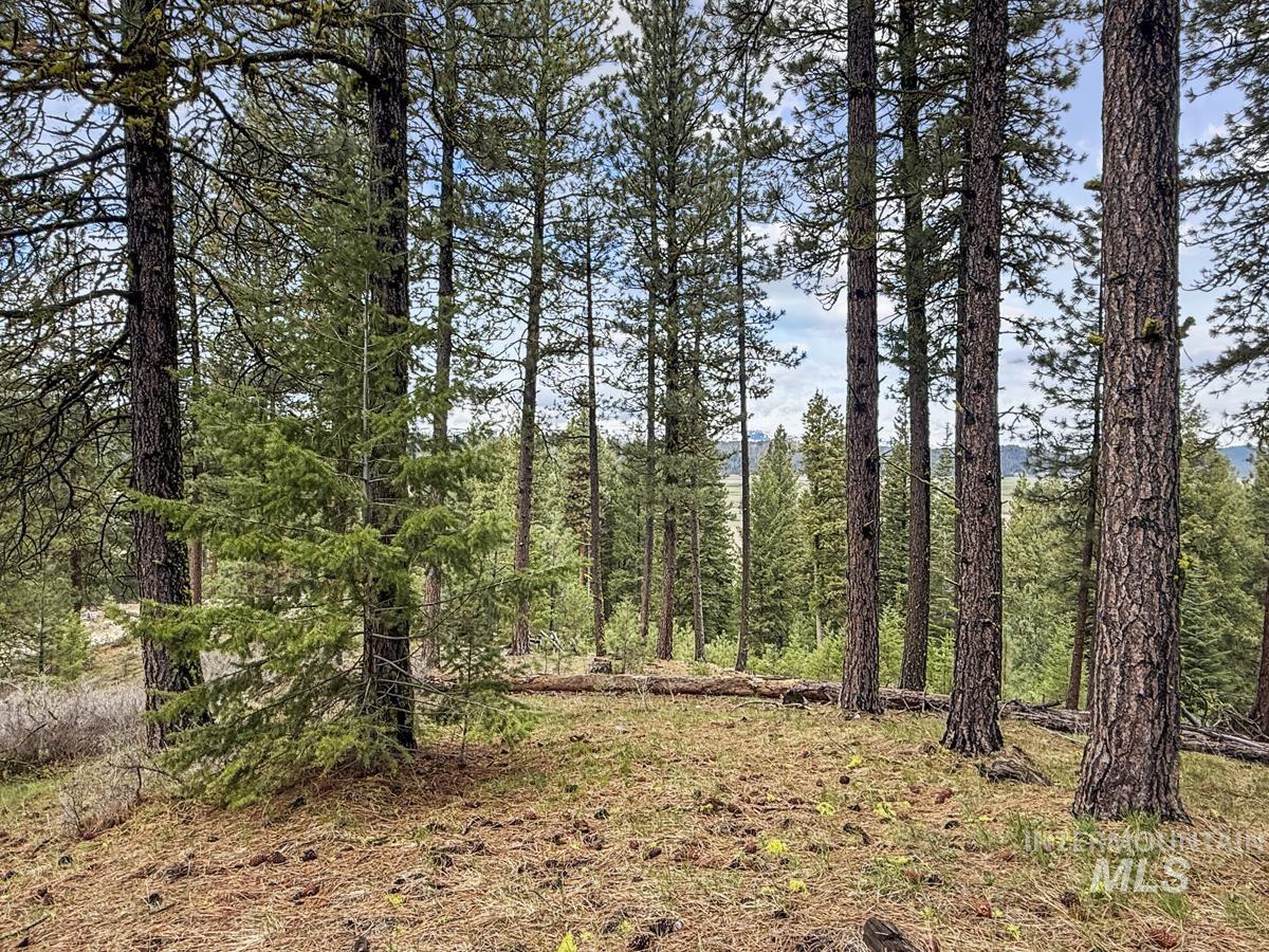 14 San Ignacio Way Cascade, ID 83611 - Photo 16 of 20