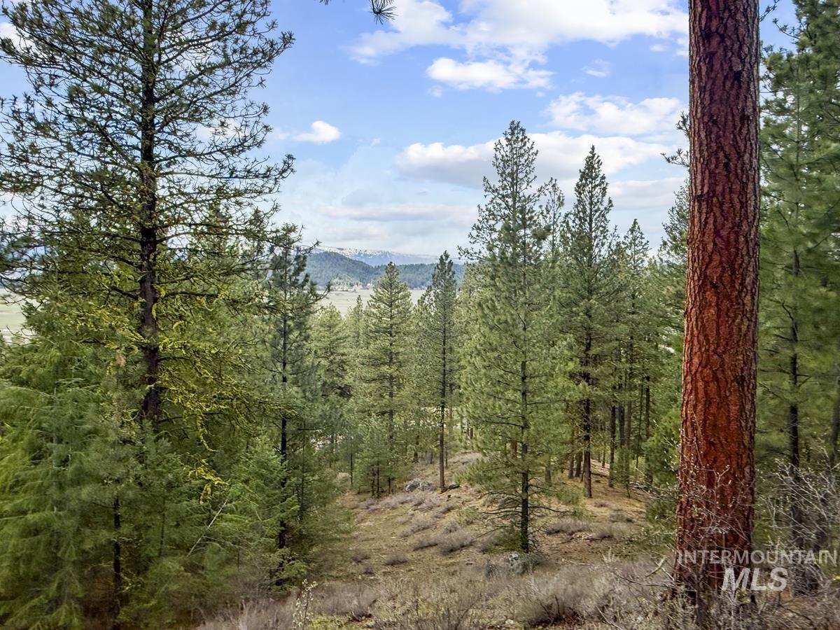 14 San Ignacio Way Cascade, ID 83611 - Photo 2 of 20