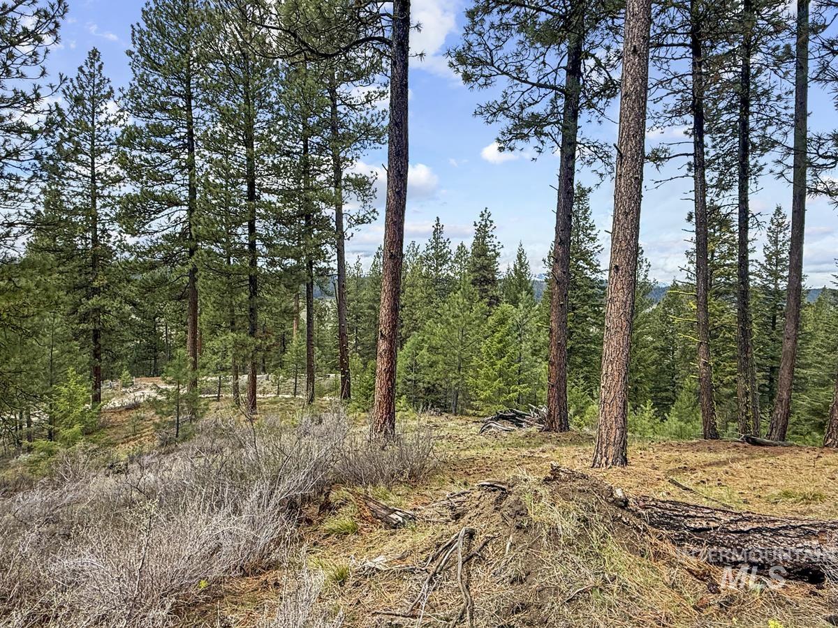 14 San Ignacio Way Cascade, ID 83611 - Photo 5 of 20