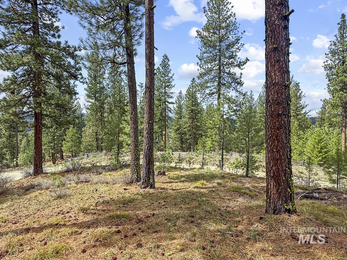 14 San Ignacio Way Cascade, ID 83611 - Photo 6 of 20