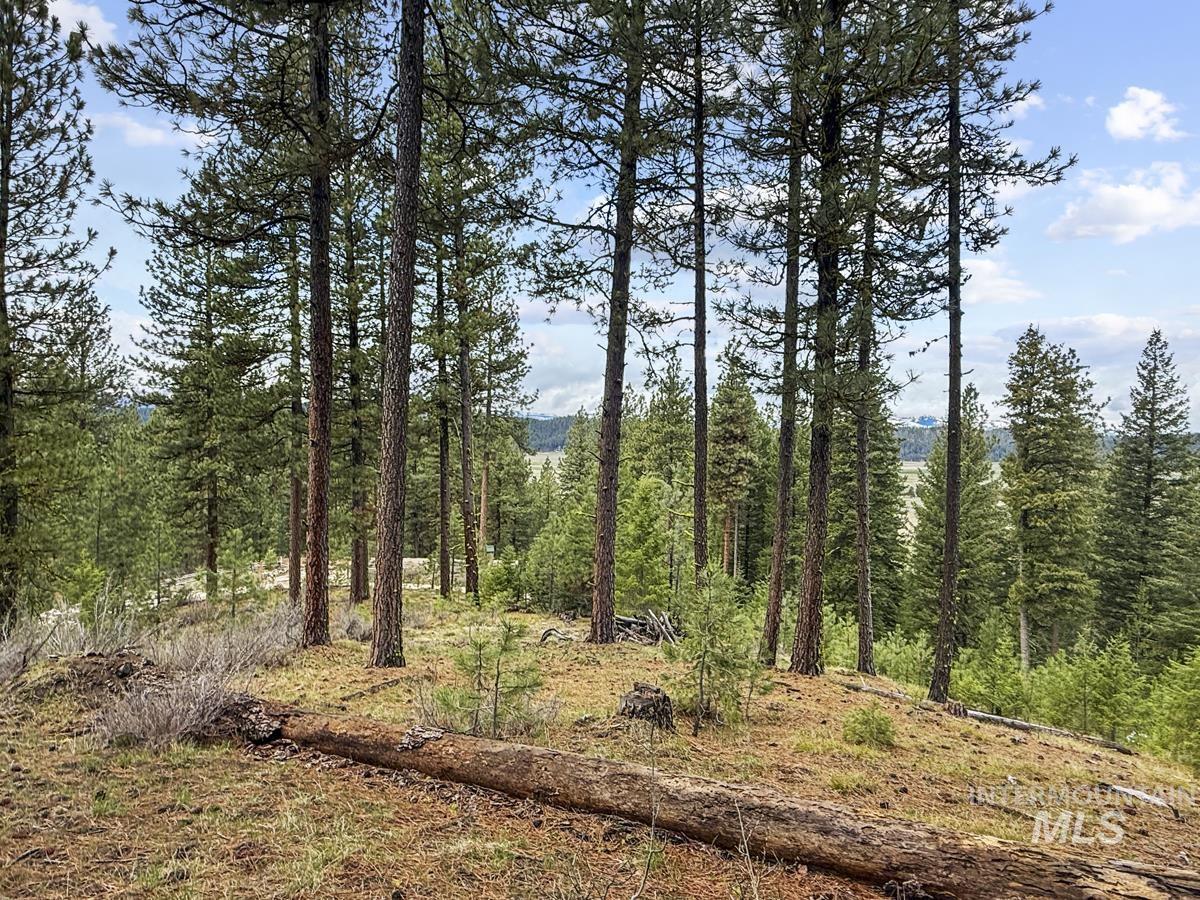 14 San Ignacio Way Cascade, ID 83611 - Photo 9 of 20