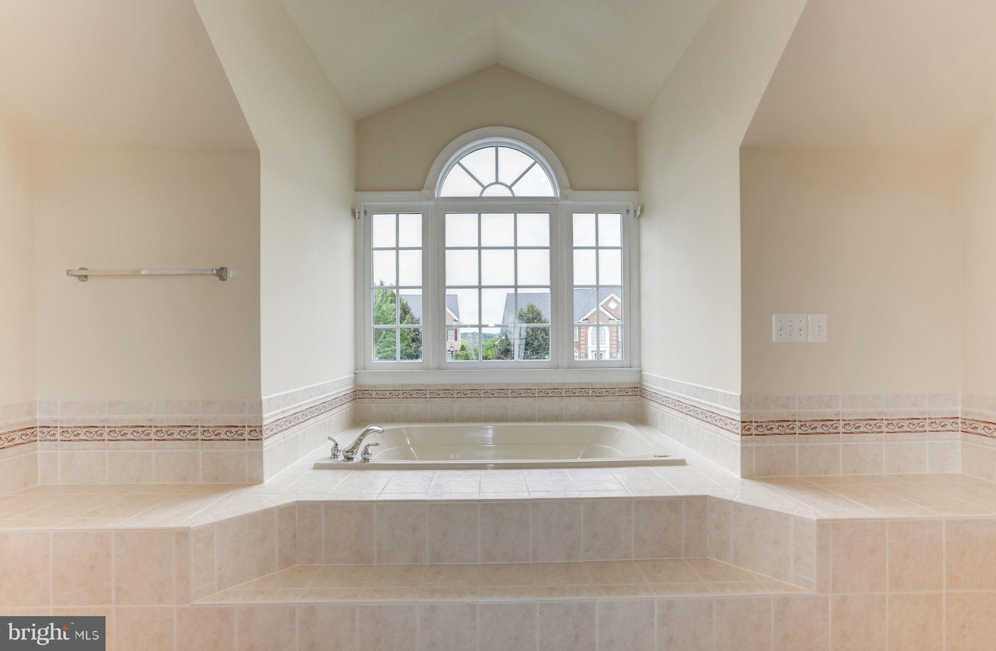 14404 Harvest Moon Road Boyds, MD 20841 - Photo 24 of 30 Master Bedroom Jacuzzi