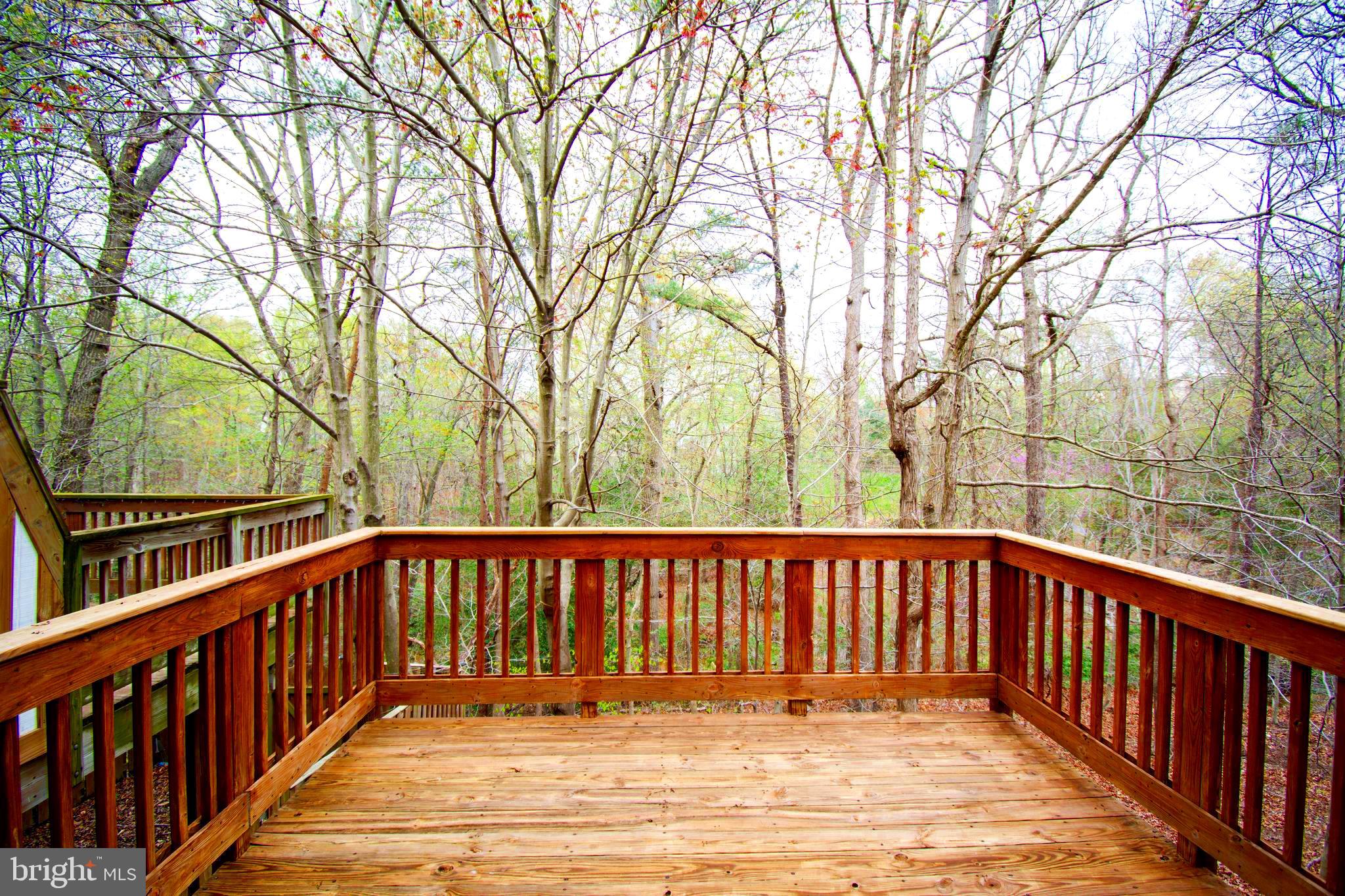 244 Sycamore Ridge Road Laurel, MD 20724 - Photo 5 of 45 Peaceful view of woods, trail, and stream
