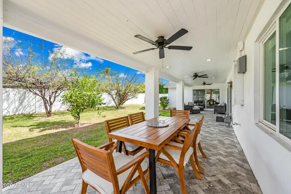 a view of a backyard with a large tree