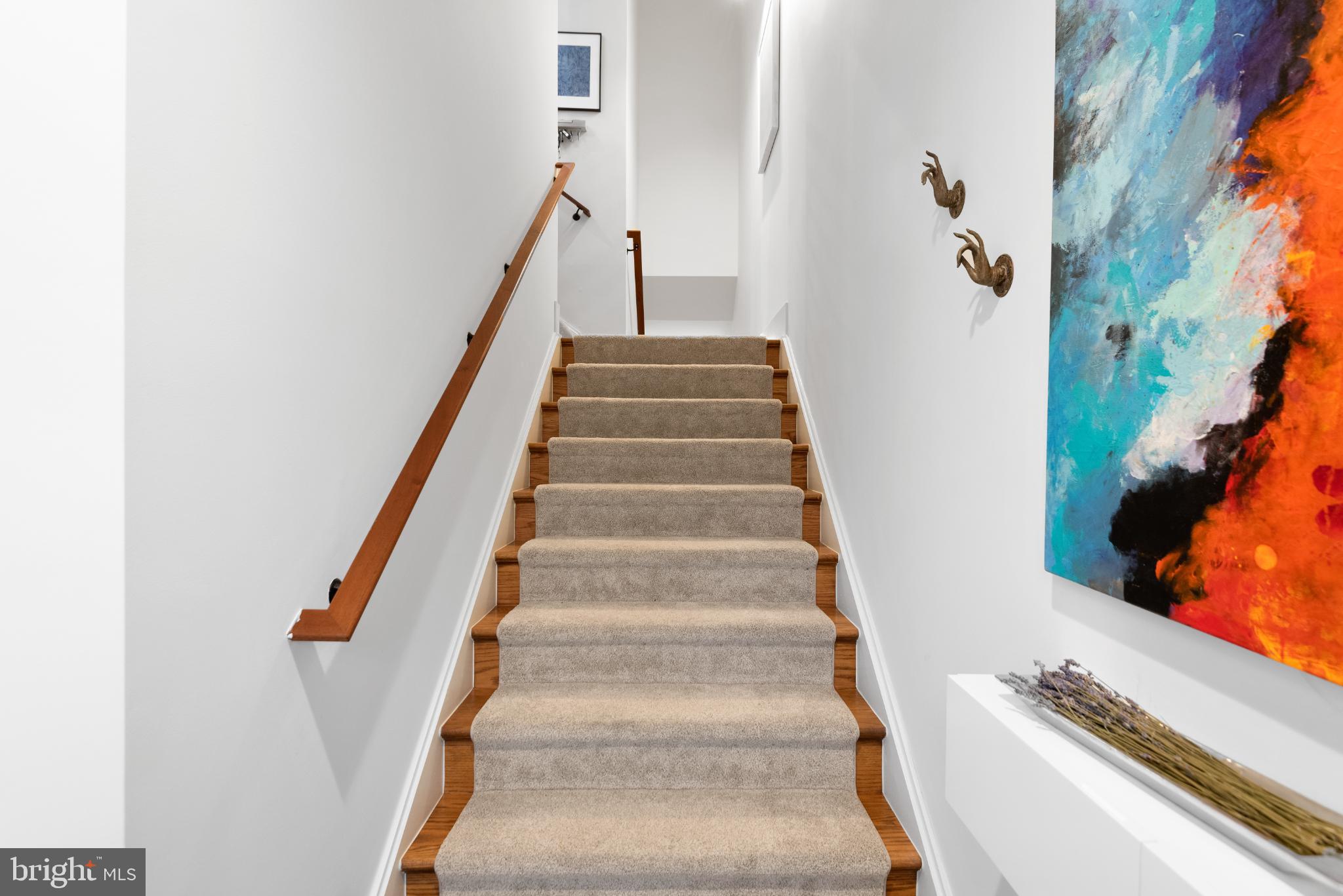 5117 Willet Bridge Road Bethesda, MD 20816 - Photo 6 of 46 a view of entryway