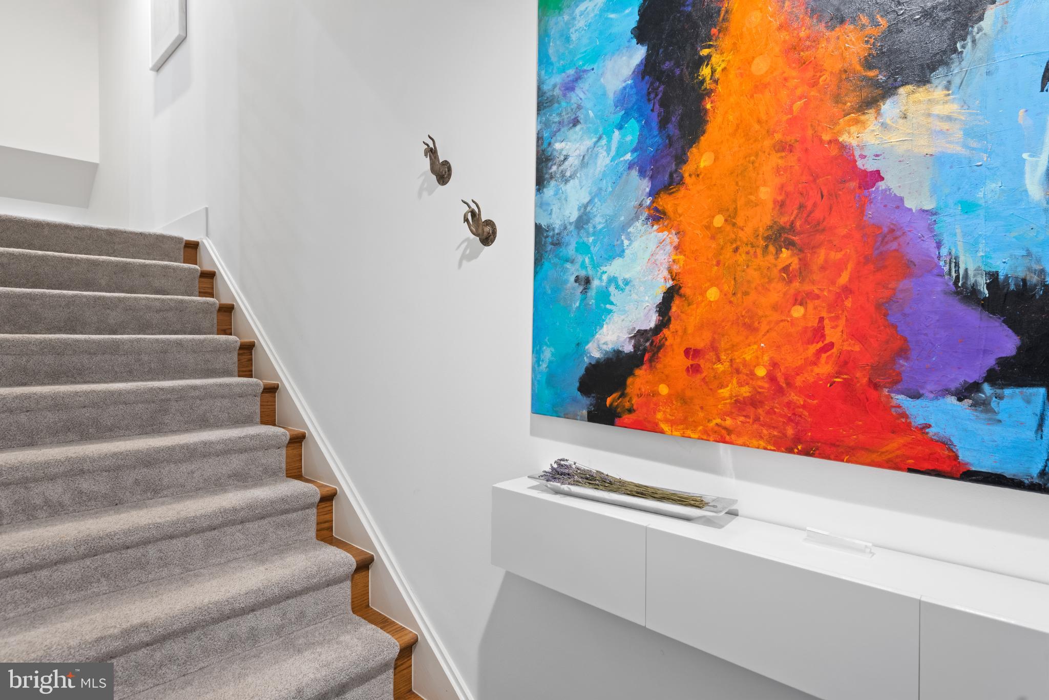 5117 Willet Bridge Road Bethesda, MD 20816 - Photo 7 of 46 a view of entryway