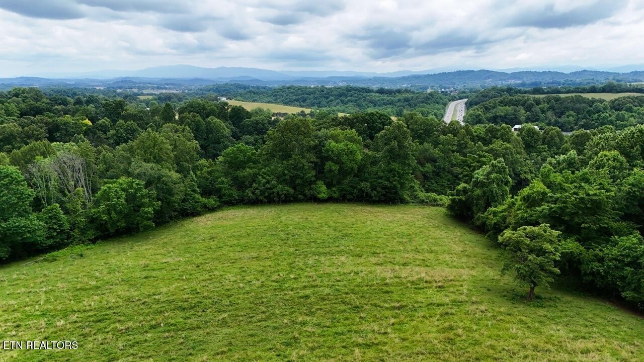 5 Frog Level Road Johnson City, TN 37615 - Photo 6 of 19