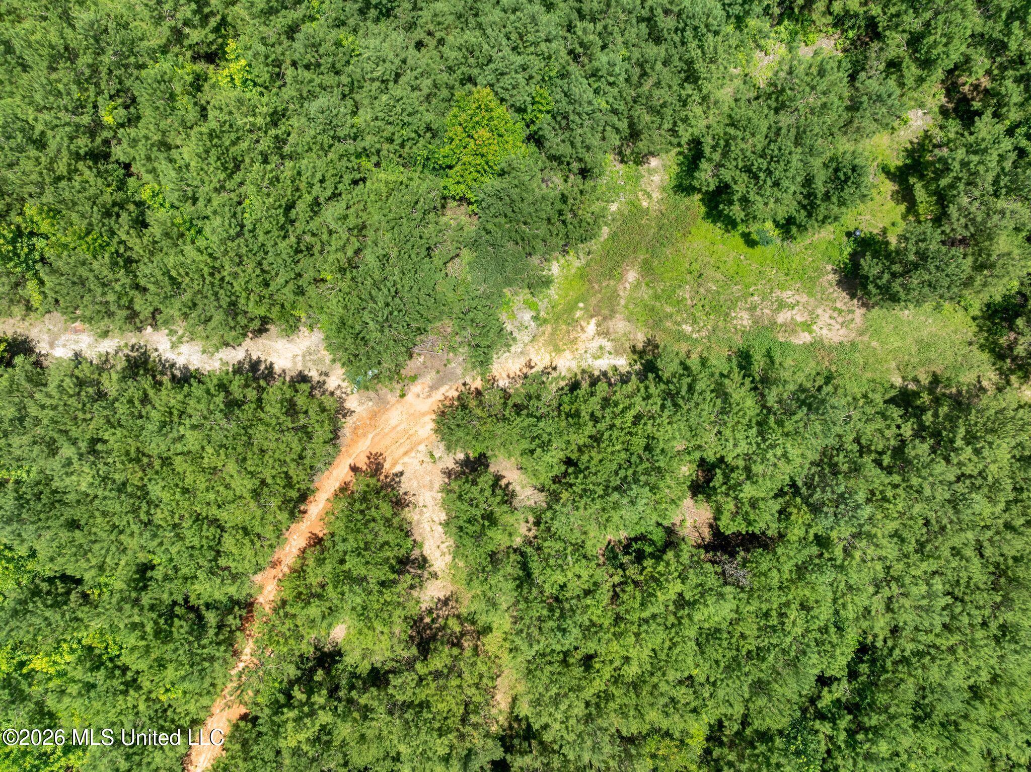 31-acres Ridgeland Road Bassfield, MS 39421 - Photo 13 of 27 85_Ridgeland_Rd-13