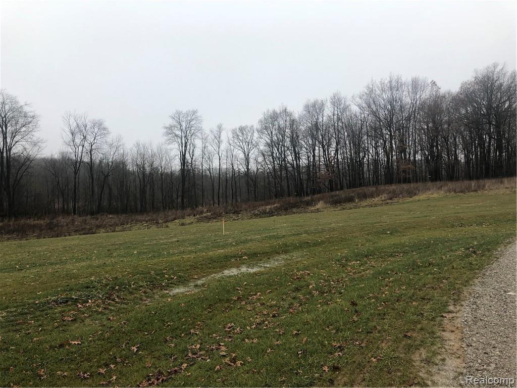 Parcel 9 Elevation Lane Howell, MI 48855 - Photo 5 of 10