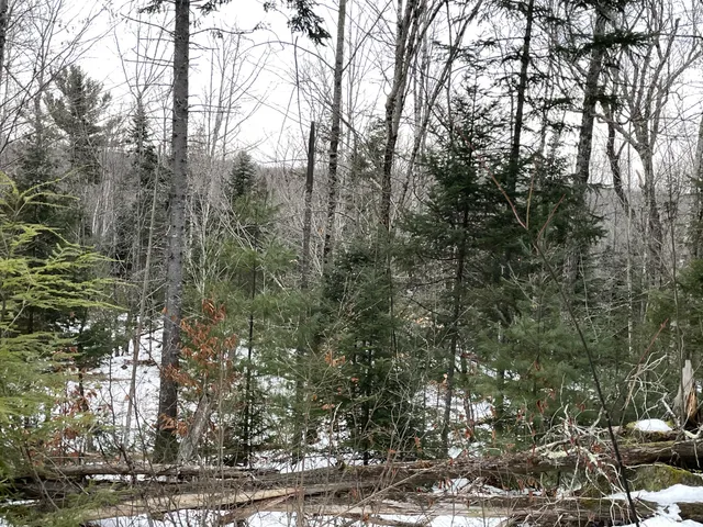 $35,000 | Lot# Trafton Road, Unit LOT#, Harmony, ME 04942