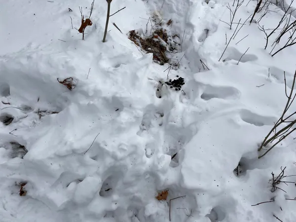 $30,000 | Lot# Trafton Road, Unit LOT#, Harmony, ME 04942