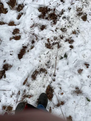 $35,000 | Lot# Trafton Road, Unit LOT#, Harmony, ME 04942