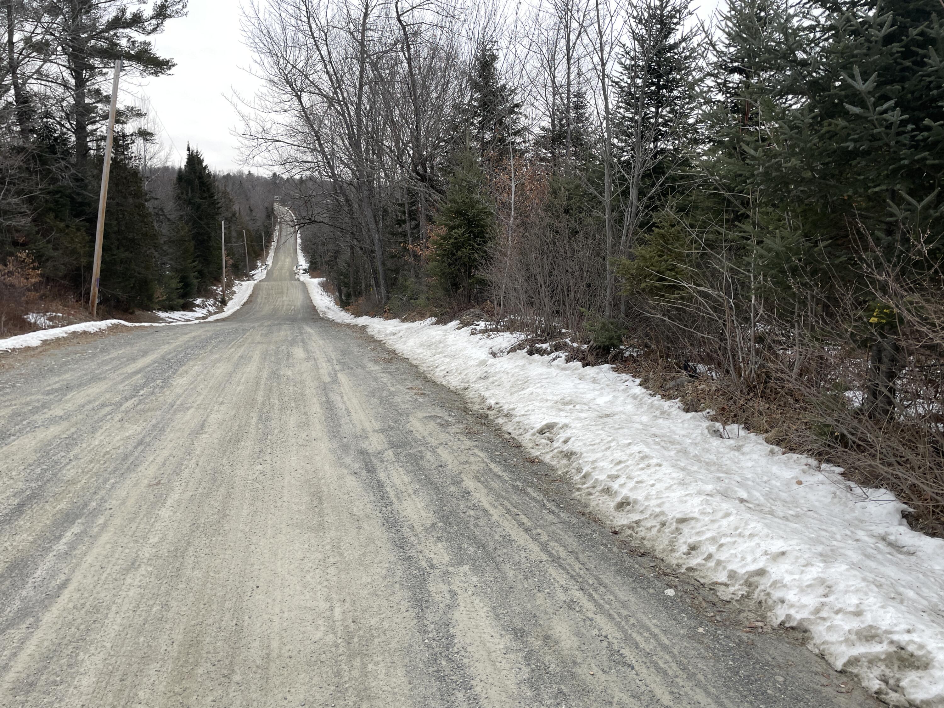 Lot# Trafton Road, Unit LOT# Harmony, ME 04942 - Photo 6 of 7 IMG_4377