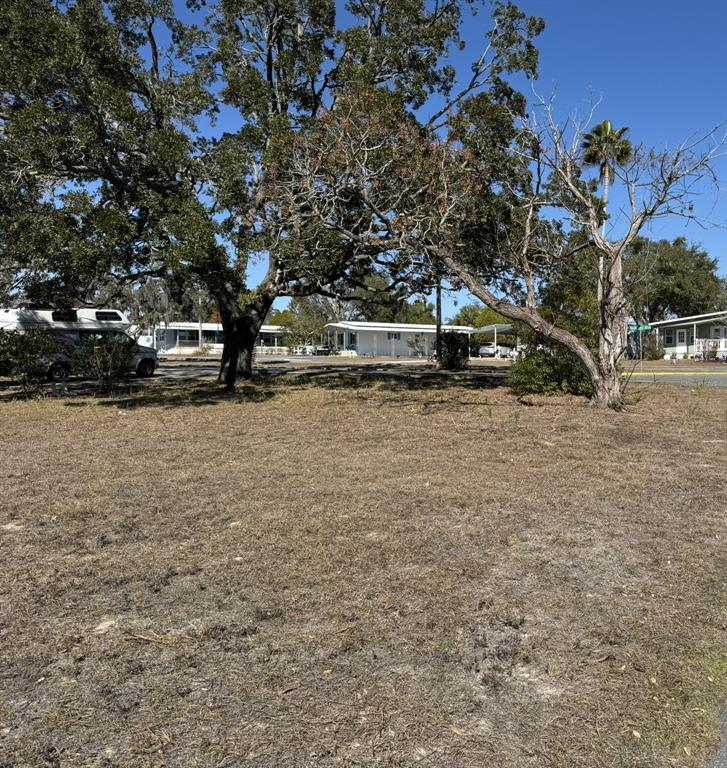 0 Highpoint Boulevard Brooksville, FL 34613 - Photo 3 of 16 a view of a yard with a tree