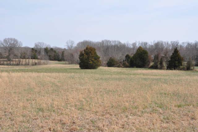 10739 Hall Road Bon Aqua, TN 37025 - Photo 14 of 16 Beautiful, fenced, level pasture.