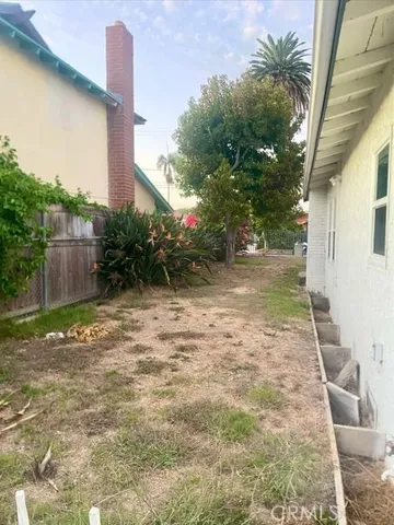 a view of a yard with plants