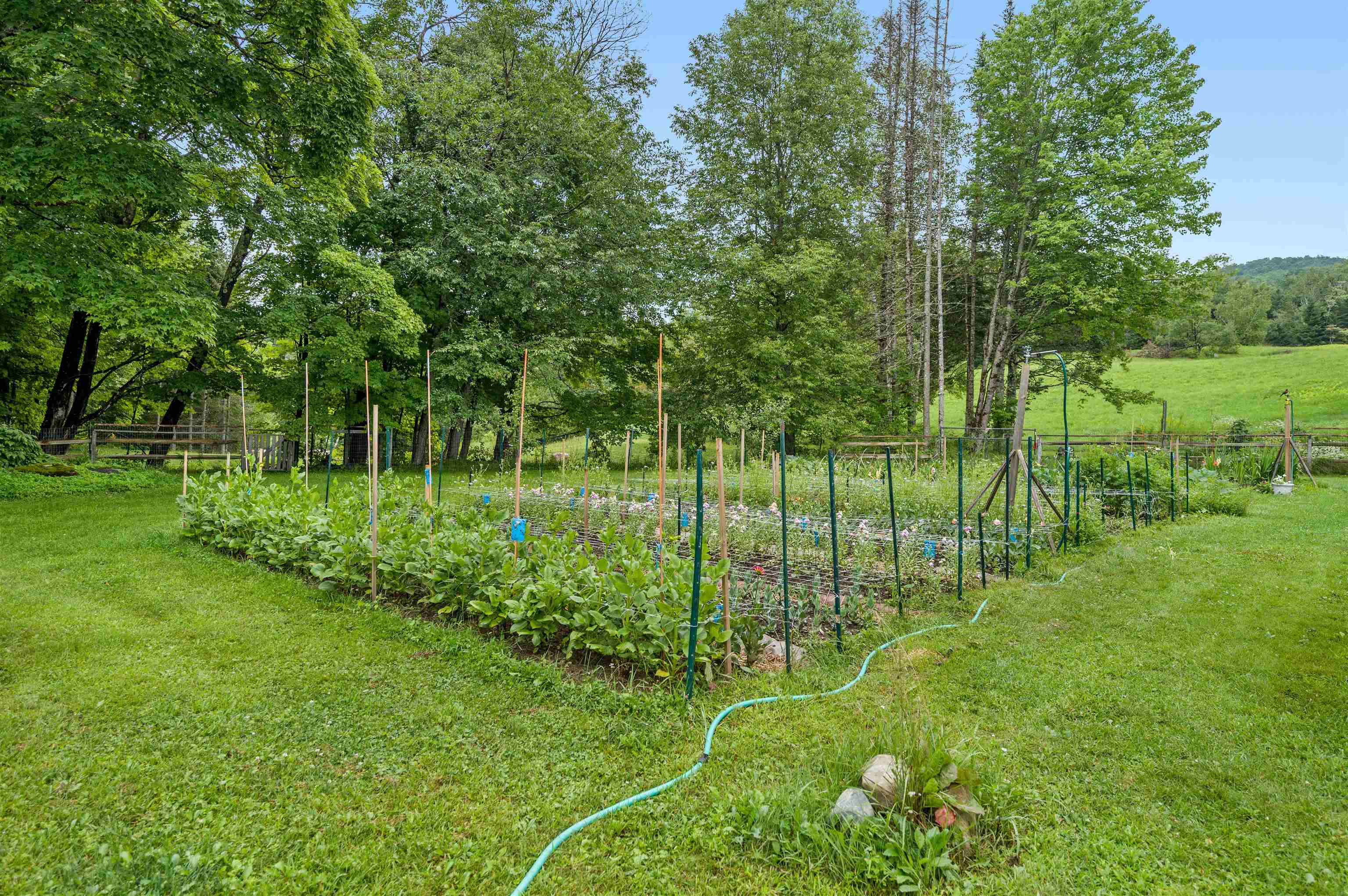 323 Calais Road Worcester, VT 05682 - Photo 32 of 39