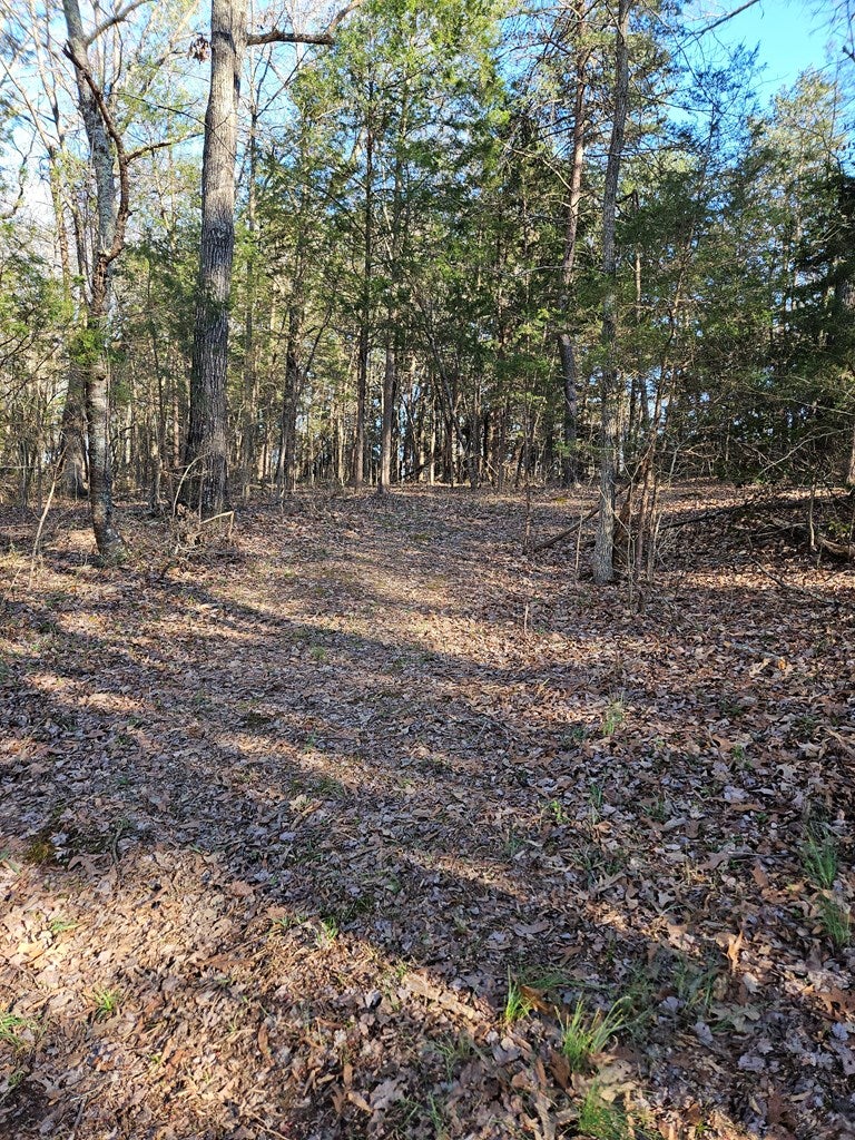 634 Salem Church Road Dillwyn, VA 23936 - Photo 12 of 36 Gallery Image 12
