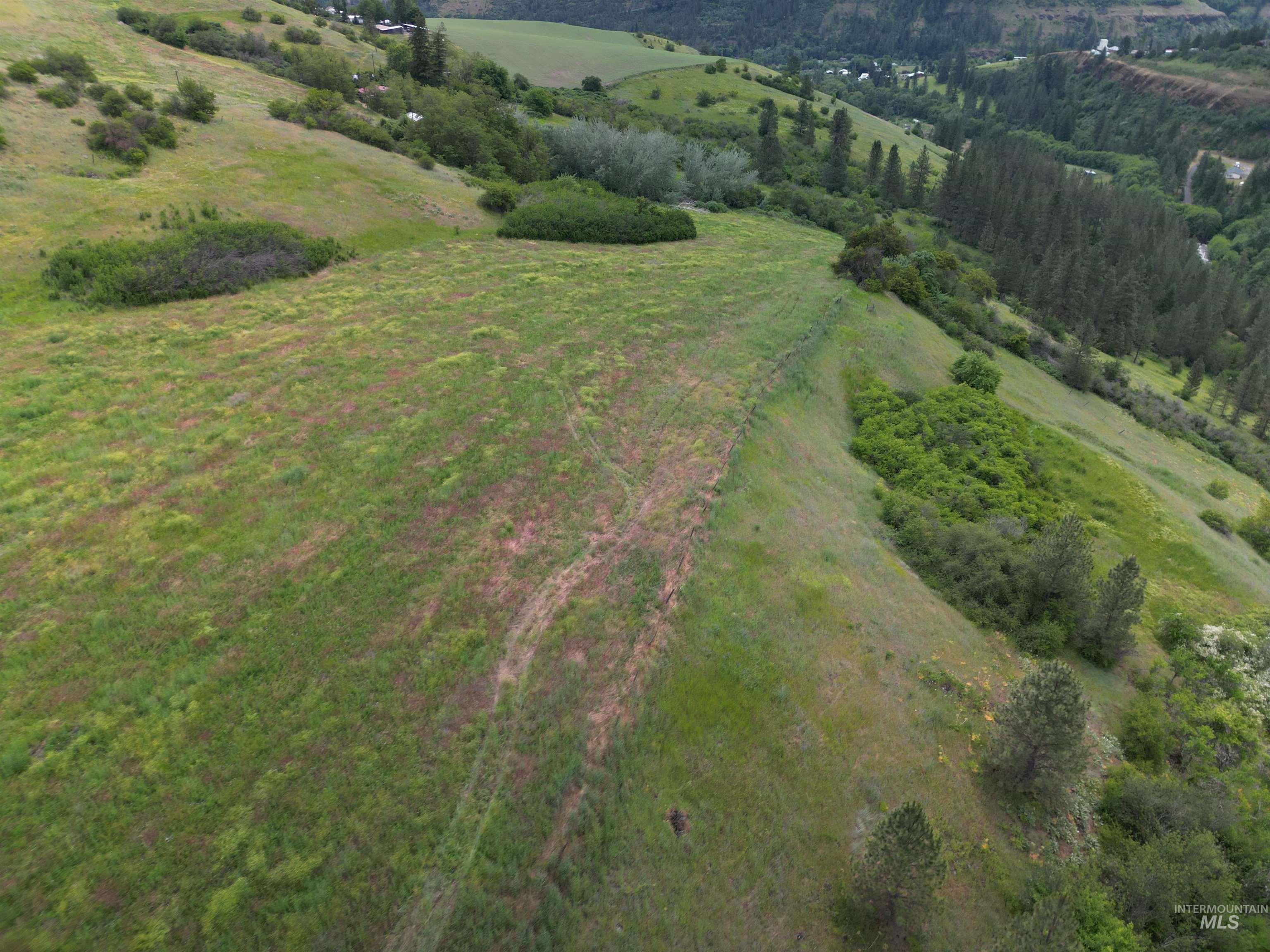 0 American Ridge Road Kendrick, ID 83537 - Photo 5 of 12