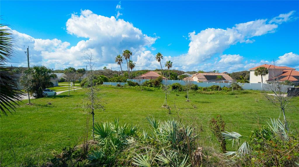4738 South Atlantic Avenue Ponce Inlet, FL 32127 - Photo 25 of 32 a view of a big yard with large trees