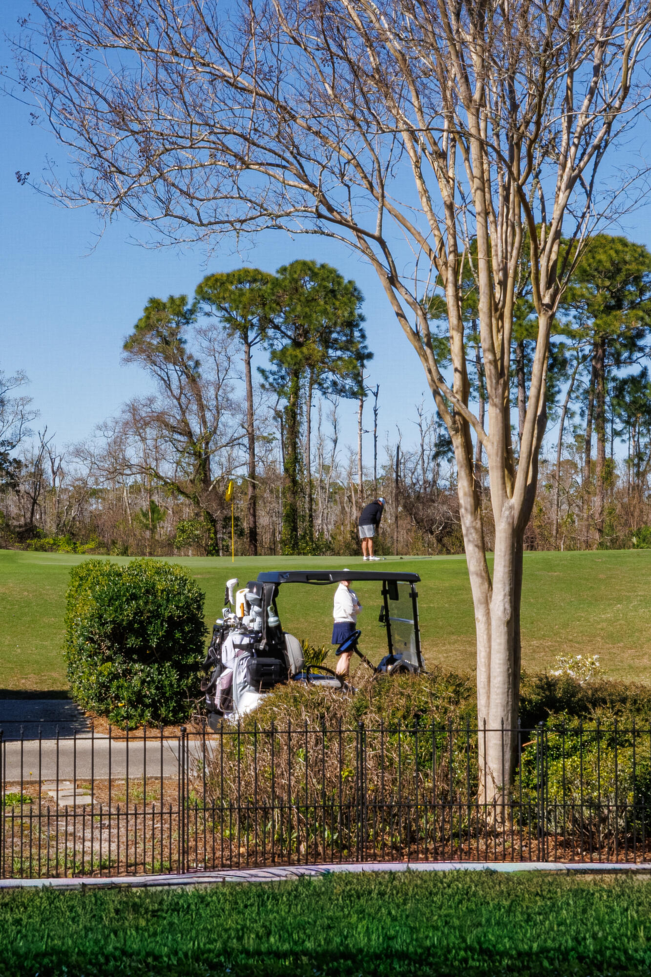 4575 Sailmaker Lane Destin, FL 32541 - Photo 74 of 83 A Birdie Try