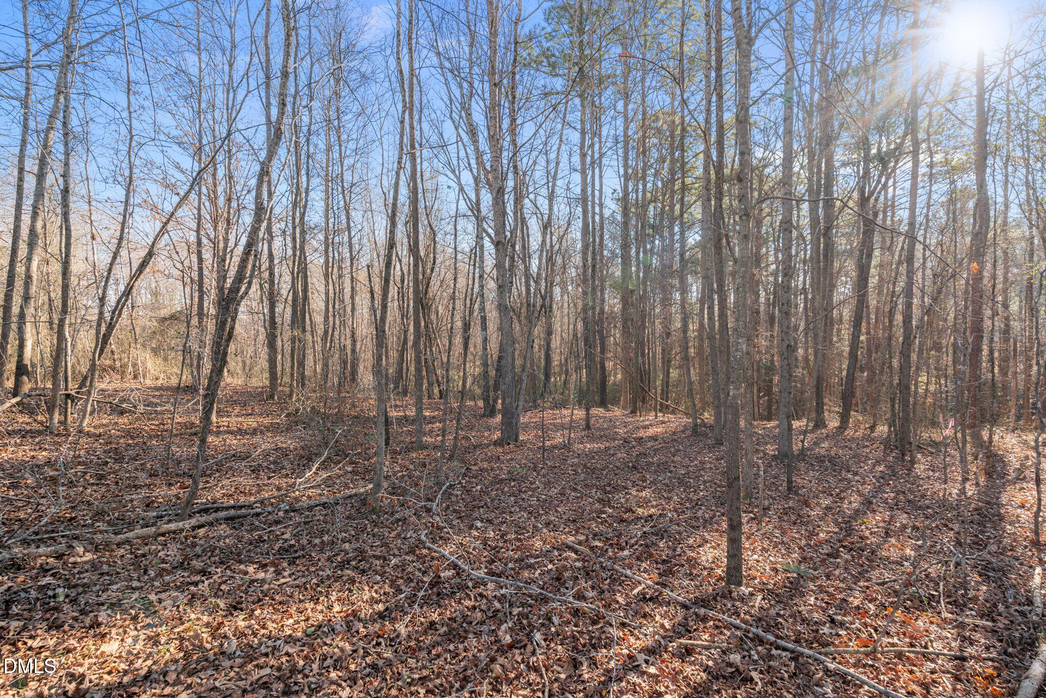 2706 Leaflet Church Road Broadway, NC 27505 - Photo 10 of 11 a view of a backyard with trees