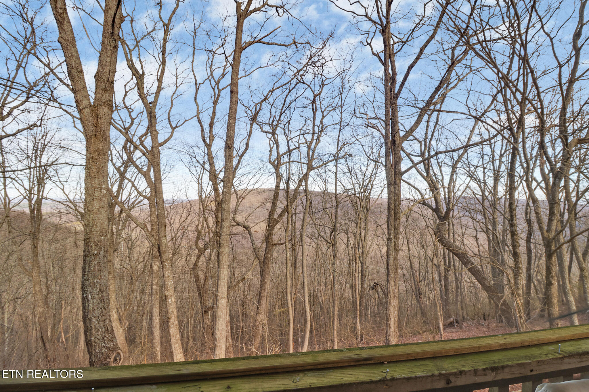 365 Moytoy Road, Unit 107 Crab Orchard, TN 37723 - Photo 21 of 29 if1a3487-if1a3491