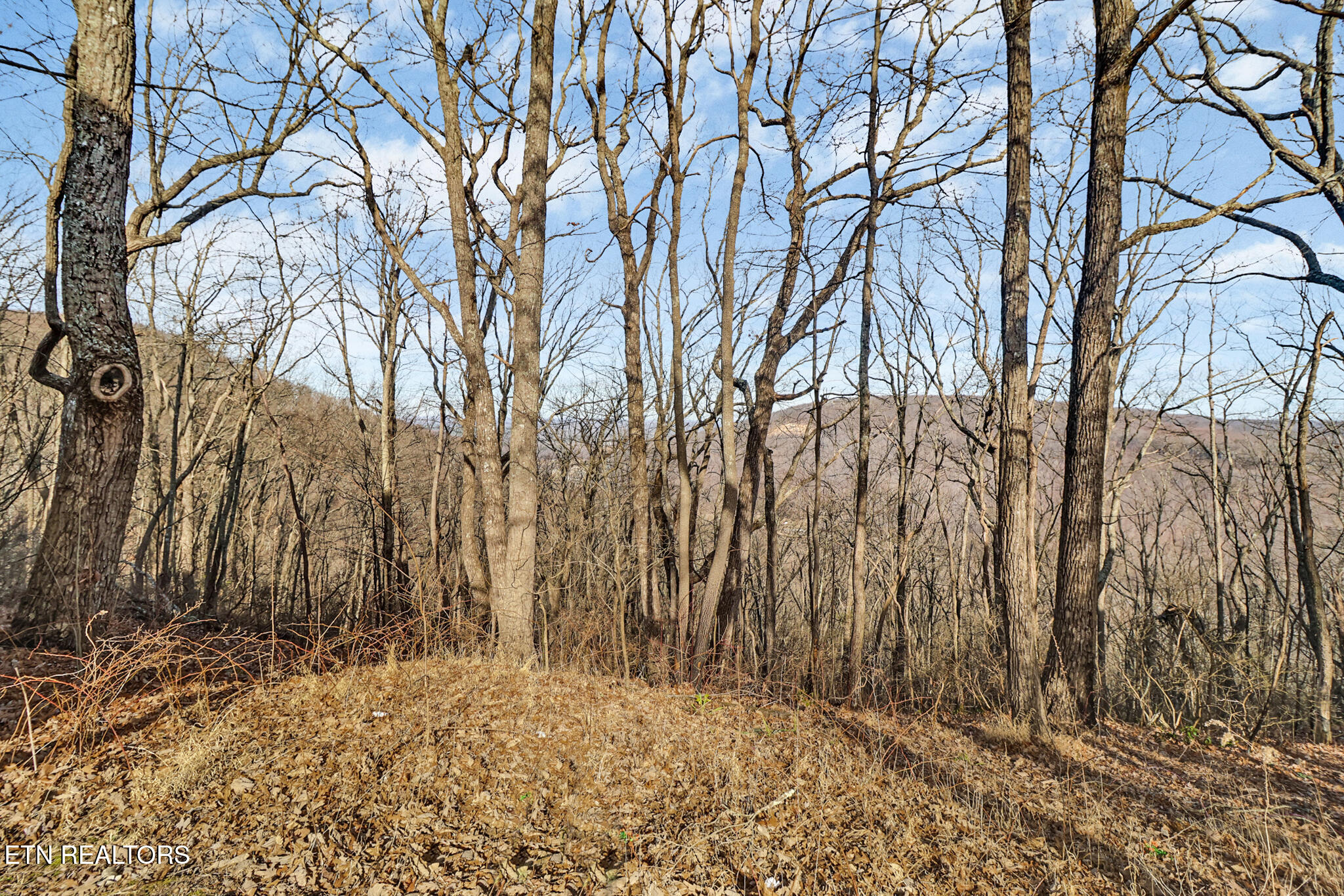 365 Moytoy Road, Unit 107 Crab Orchard, TN 37723 - Photo 28 of 29 if1a3502-if1a3506