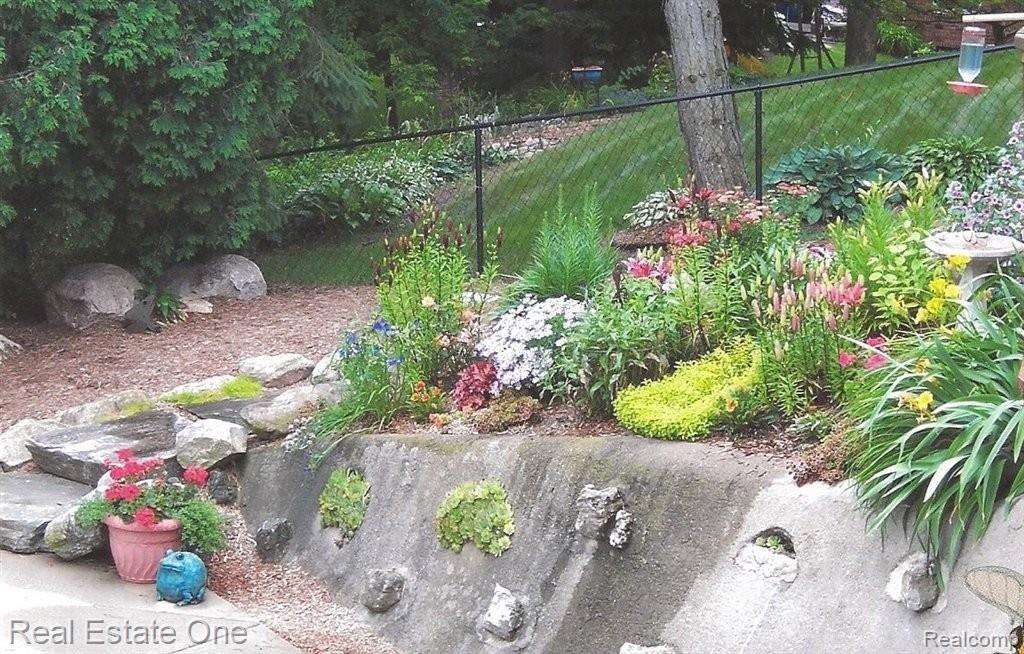 garden[1].jpg