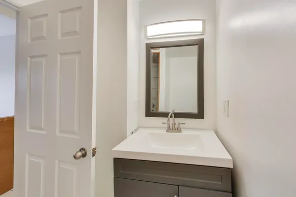 a bathroom with a sink vanity and a mirror