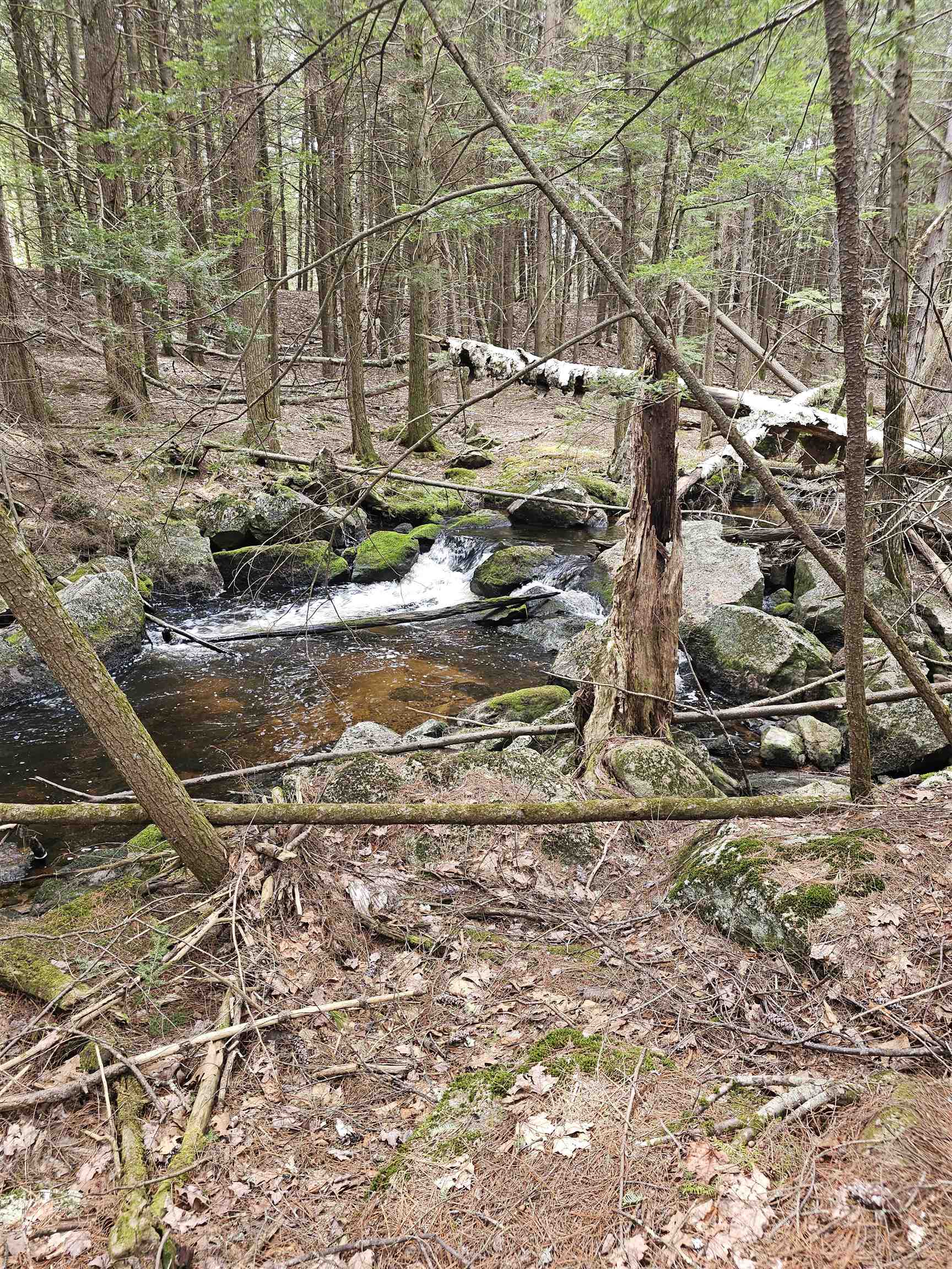 50 Range Road Pittsfield, NH 03263 - Photo 56 of 60