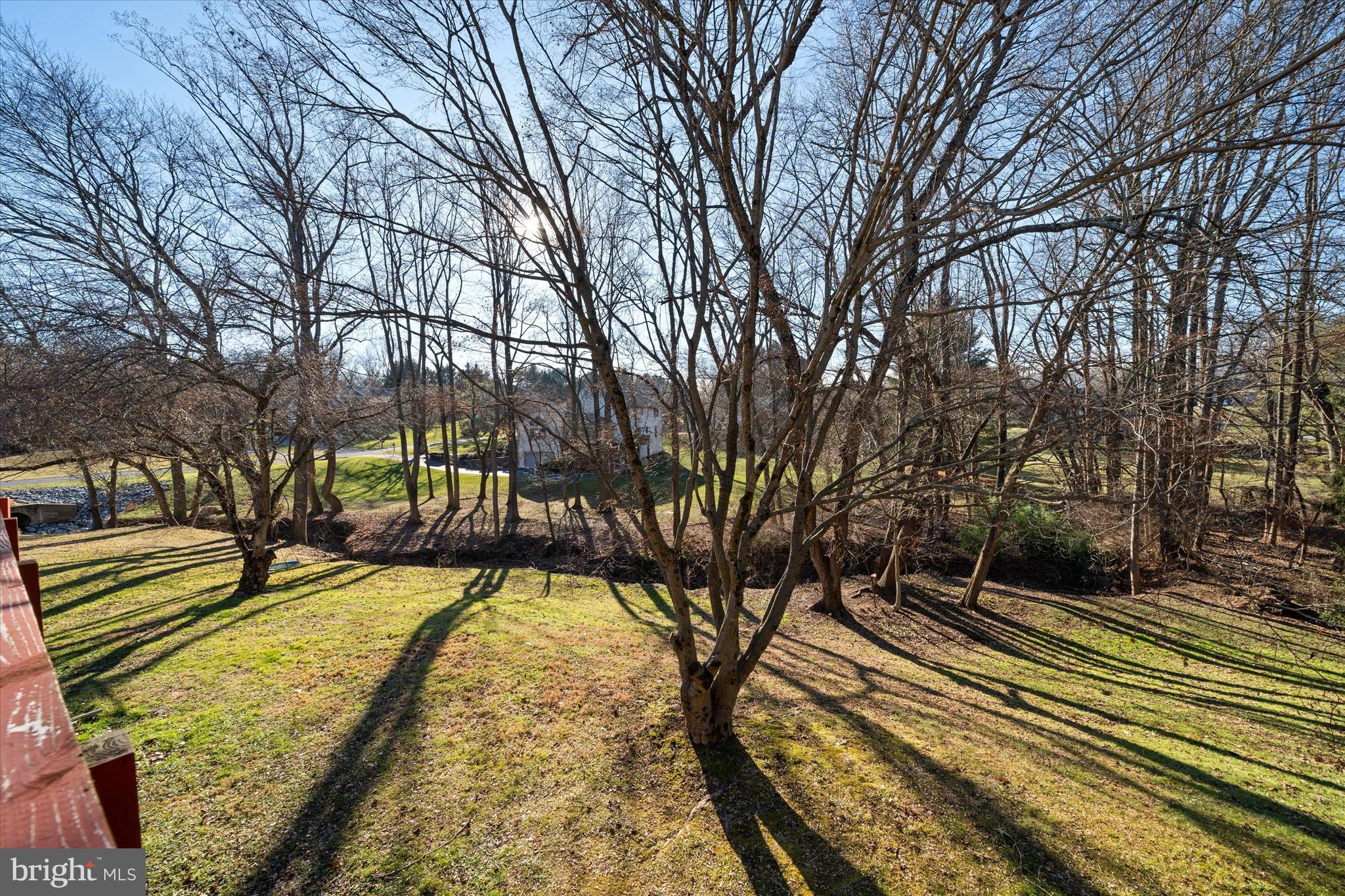 29 Hillstream Road Newark, DE 19711 - Photo 61 of 79 Back view of lot/house