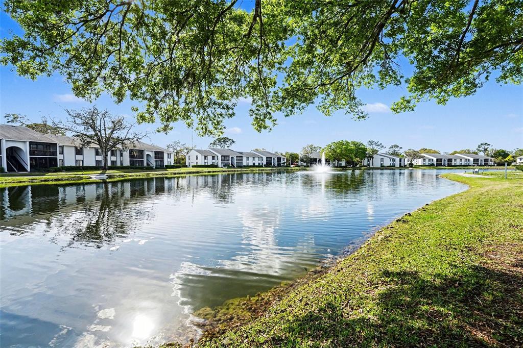 1261 Pine Ridge Circle West, Unit D1 Tarpon Springs, FL 34688 - Photo 13 of 14 a view of a lake with houses in the background