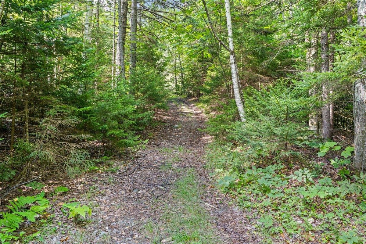 0 Mountain View Road Warren, VT 05674 - Photo 16 of 50 Gallery Image 16