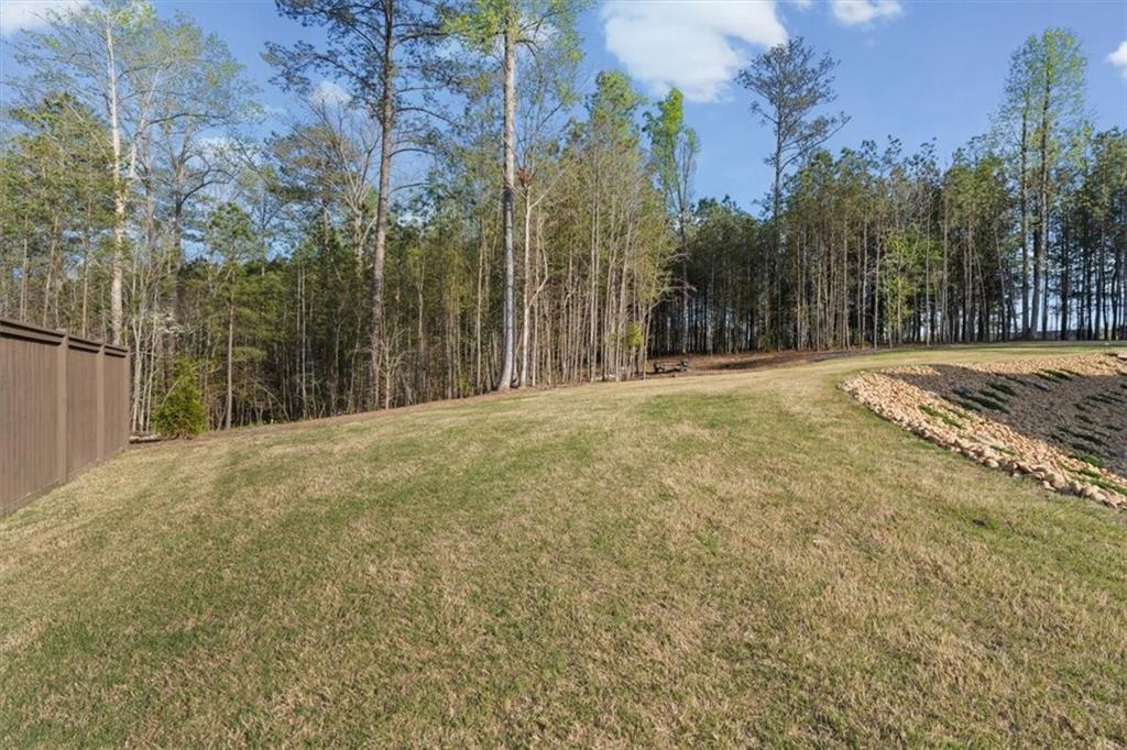 283 London Road Ball Ground, GA 30107 - Photo 56 of 73