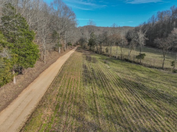 0 Tidwell Hollow Road Iron City, TN 38463 - Photo 11 of 44 a view of a yard