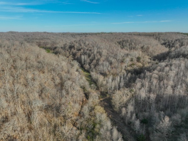 0 Tidwell Hollow Road Iron City, TN 38463 - Photo 13 of 44 a view of a dry yard with wooden fence