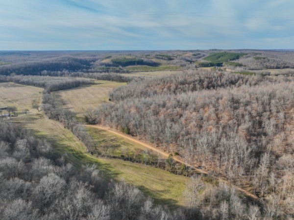 0 Tidwell Hollow Road Iron City, TN 38463 - Photo 14 of 44 a view of beach and ocean