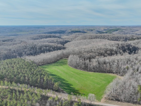 0 Tidwell Hollow Road Iron City, TN 38463 - Photo 15 of 44 a view of an outdoor space and a yard