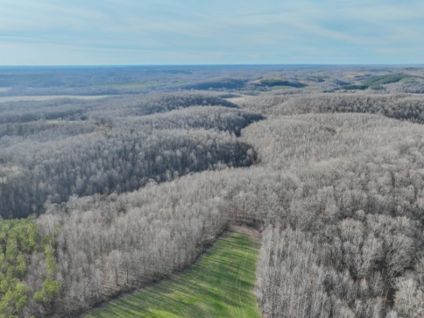 0 Tidwell Hollow Road Iron City, TN 38463 - Photo 16 of 44 a view of beach and ocean