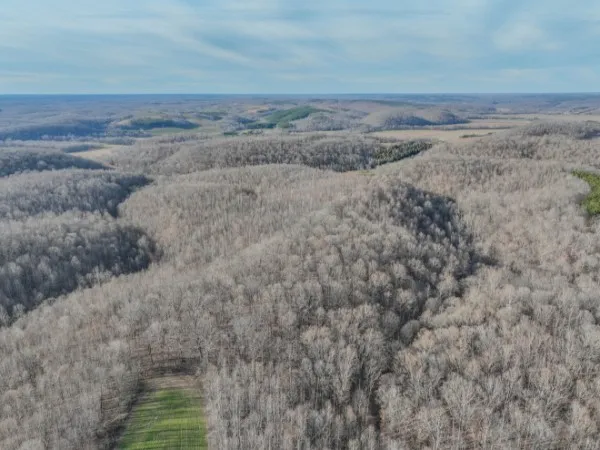 a view of a green yard