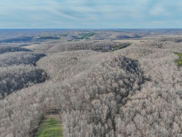 0 Tidwell Hollow Road Iron City, TN 38463 - Photo 17 of 44 a view of a dry yard with wooden floor and fence